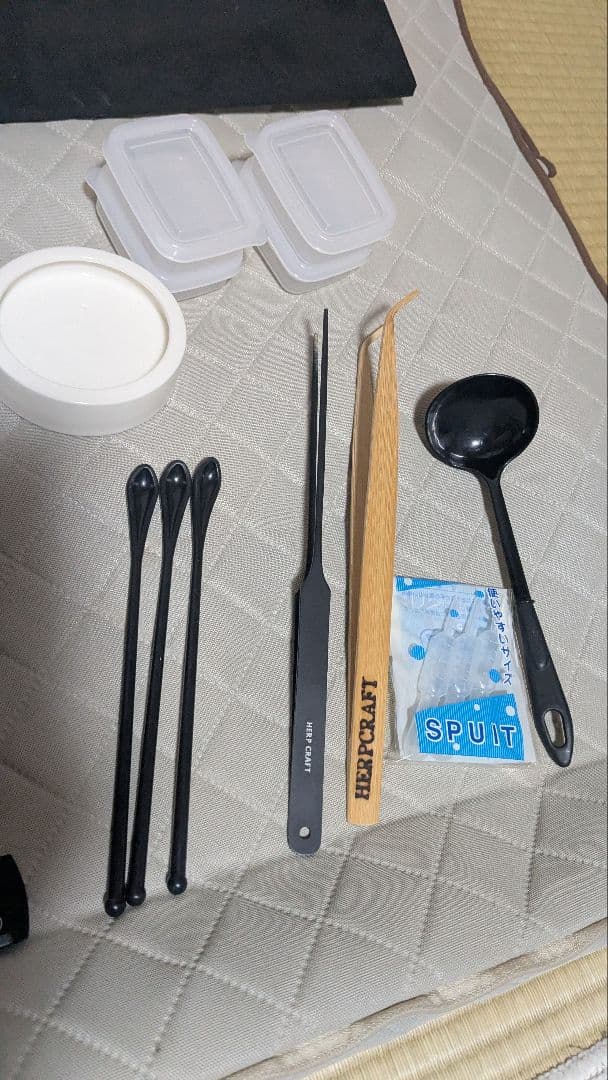 EXO TERRA（エキゾテラ）グラステラリウム3030含む レオパ飼育セット