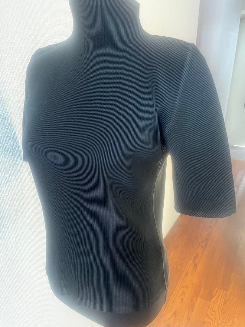 プリーツプリーズ　ミストハイネック定番　ブラック