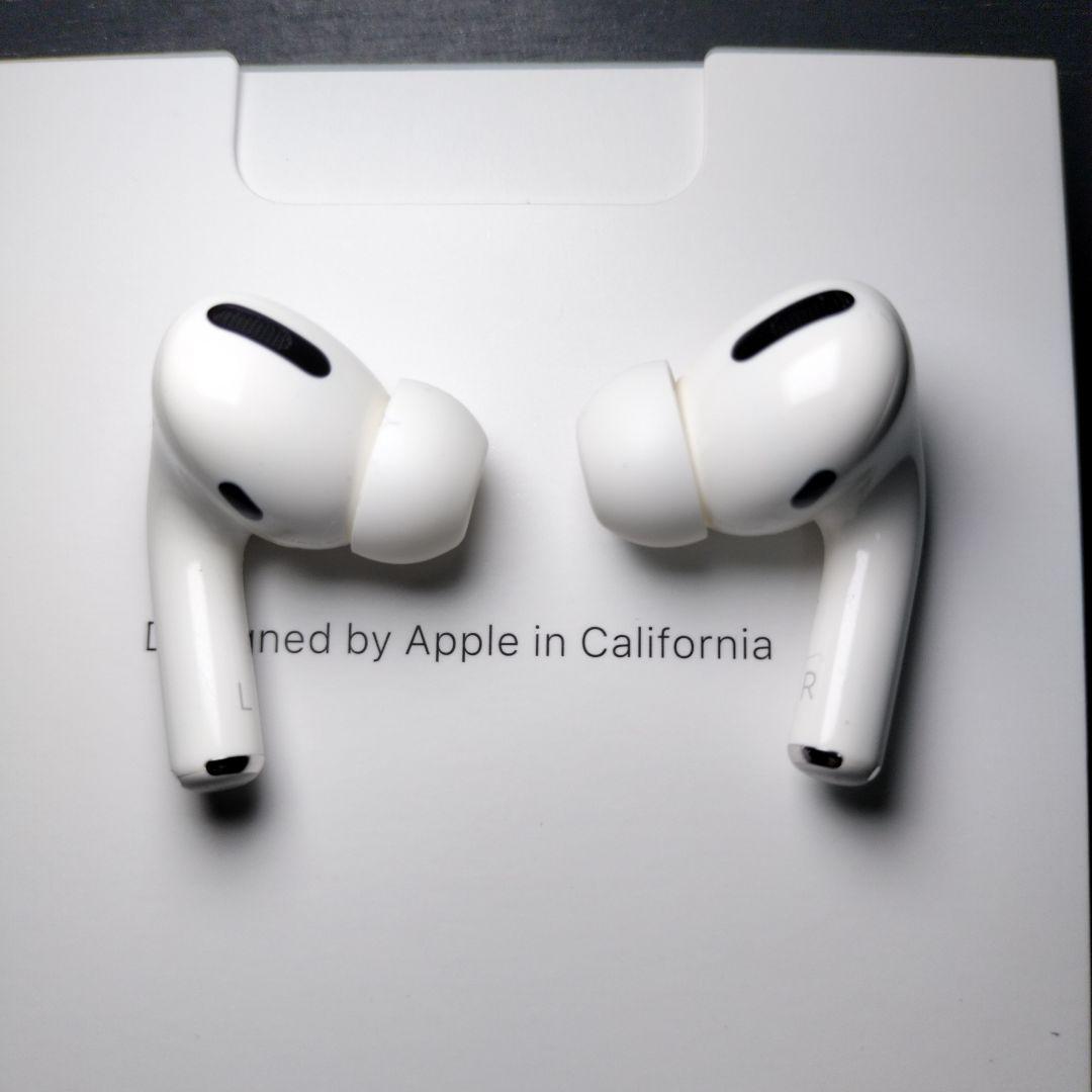 Apple AirPods Pro 【第一世代】本体