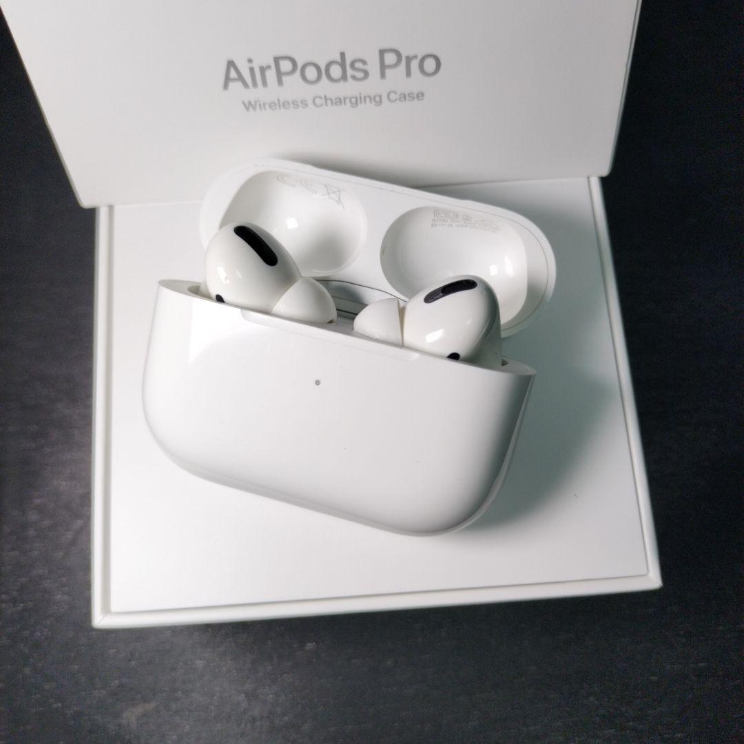 Apple AirPods Pro 【第一世代】本体