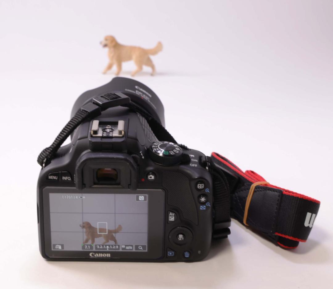 Canon EOS Kiss X7 デジタル一眼レフ、ダブルズームセット