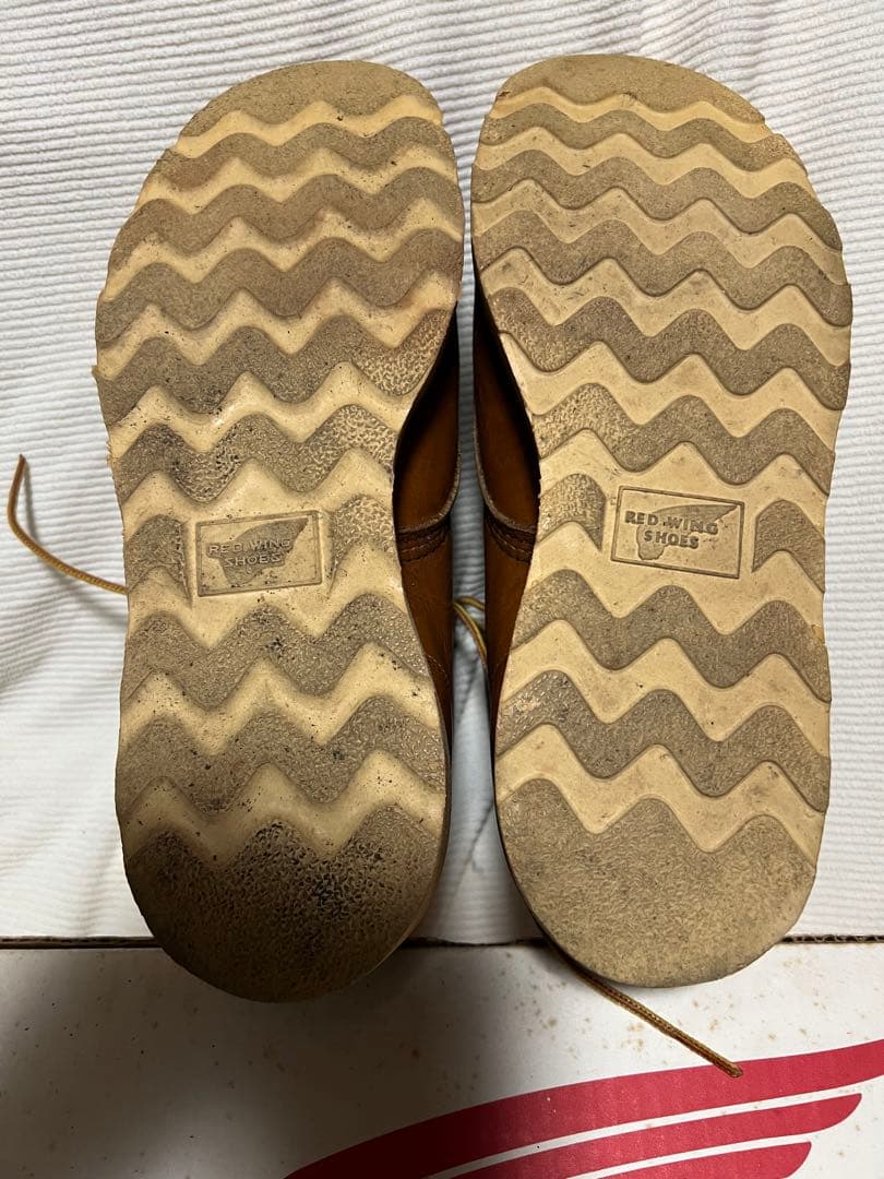 レッドウイング　875 9E 箱付き