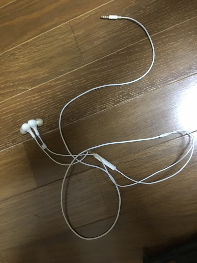 10代男性が使ったイヤホン
