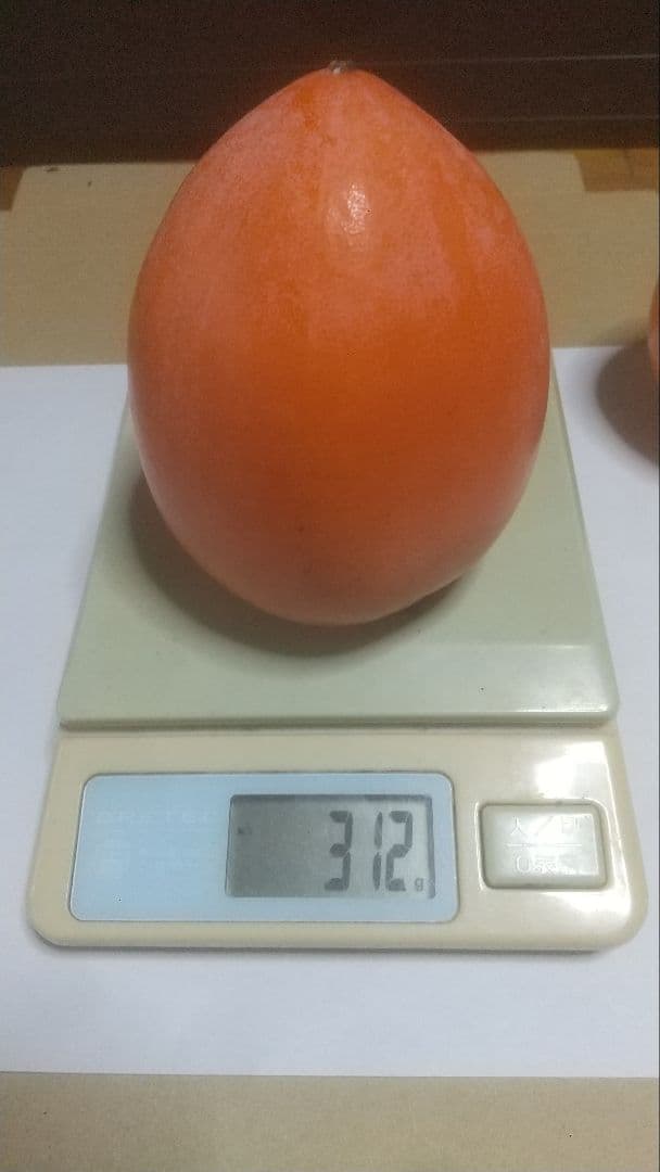 干し柿 ぼんち出品