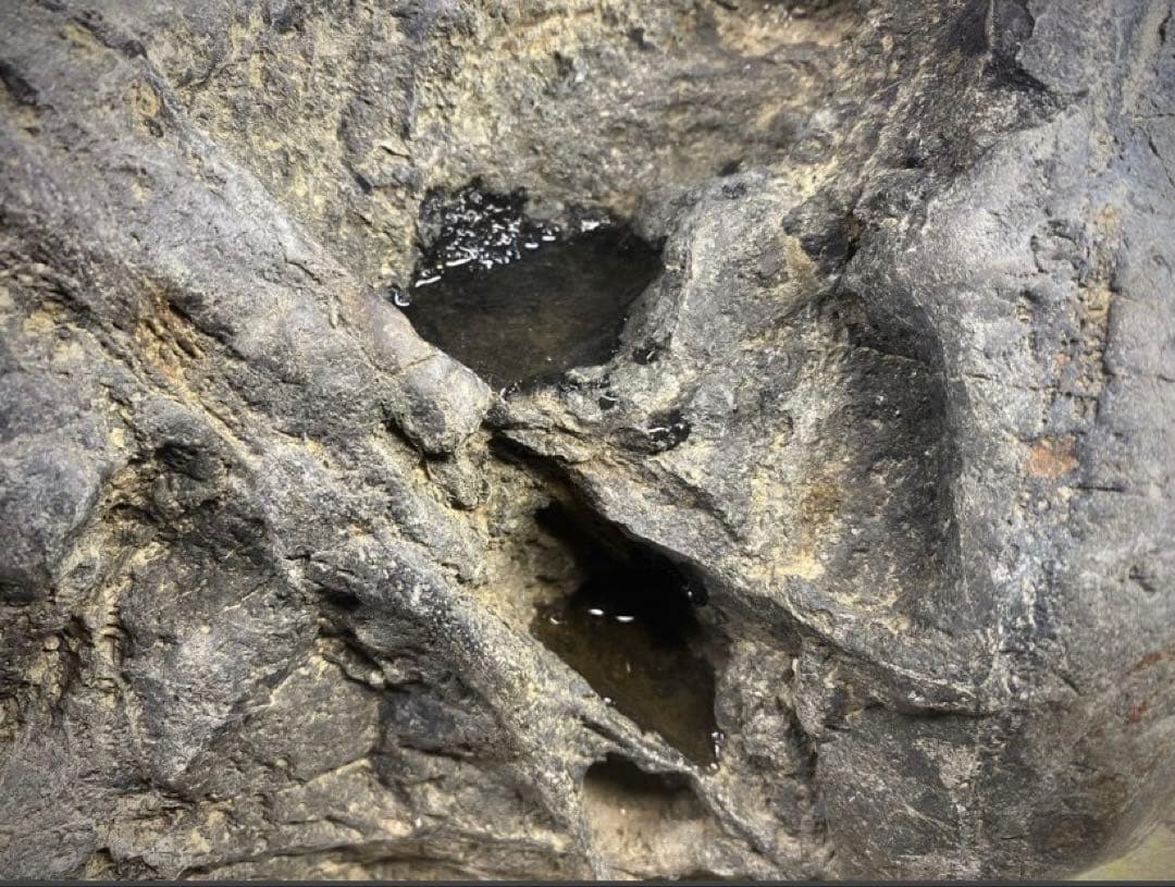 6912 八海山石 溜まり石 ウブ 銘 摩周湖 横30(cm)重量:16.6kg