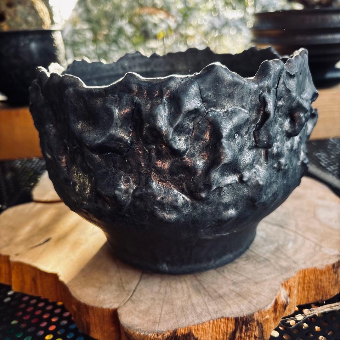 短期間限定大幅値下げ！特大鉢 美品 内田裕太 作家鉢 モンスト y鉢 アガベ