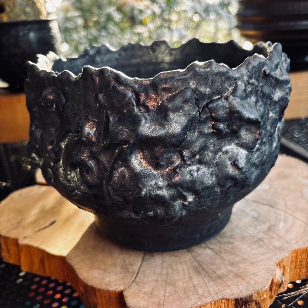 短期間限定大幅値下げ！特大鉢 美品 内田裕太 作家鉢 モンスト y鉢 アガベ