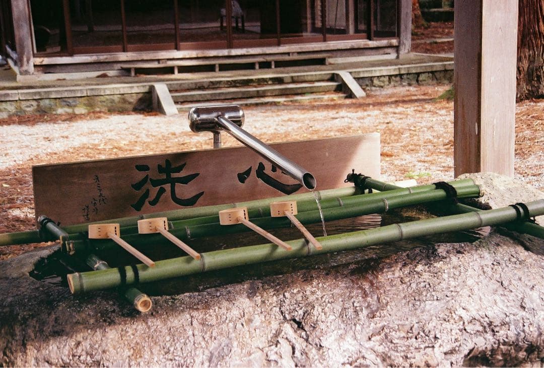 試写済み　取説新品　Canon EOS 7Sフイルムカメラ　視線入力