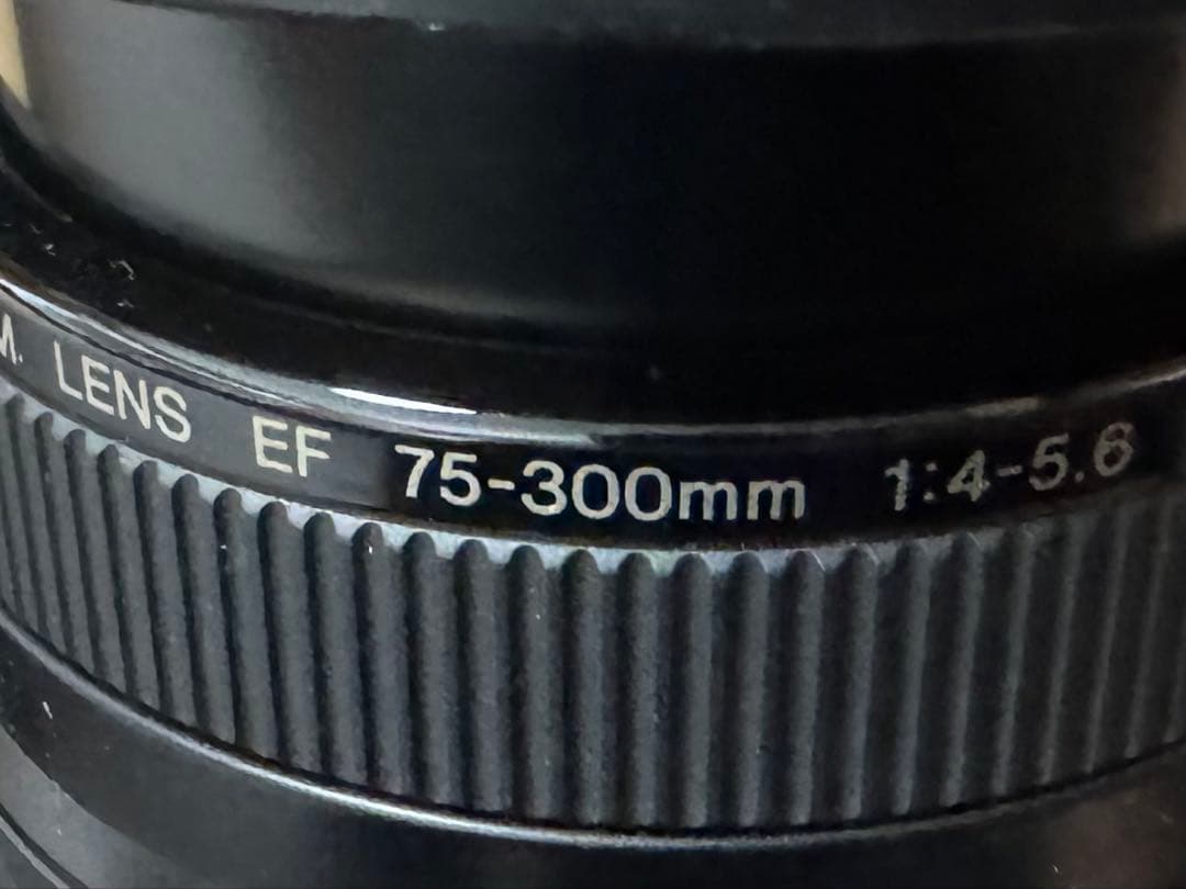 試写済み　取説新品　Canon EOS 7Sフイルムカメラ　視線入力