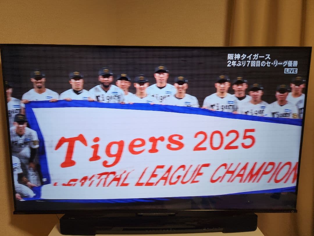 液晶テレビ 55型 2021年製 REGZA 55M550K