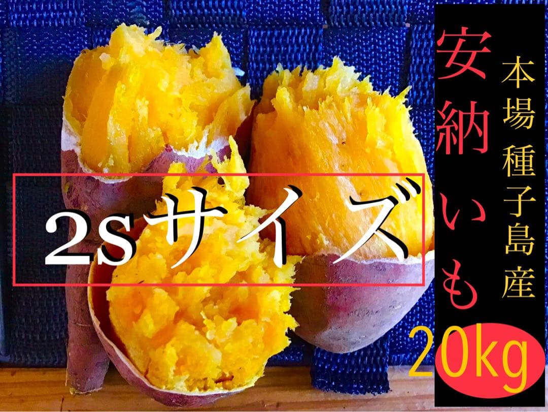 安納芋種子島産　2sサイズ20kgさつまいもの王道 #5