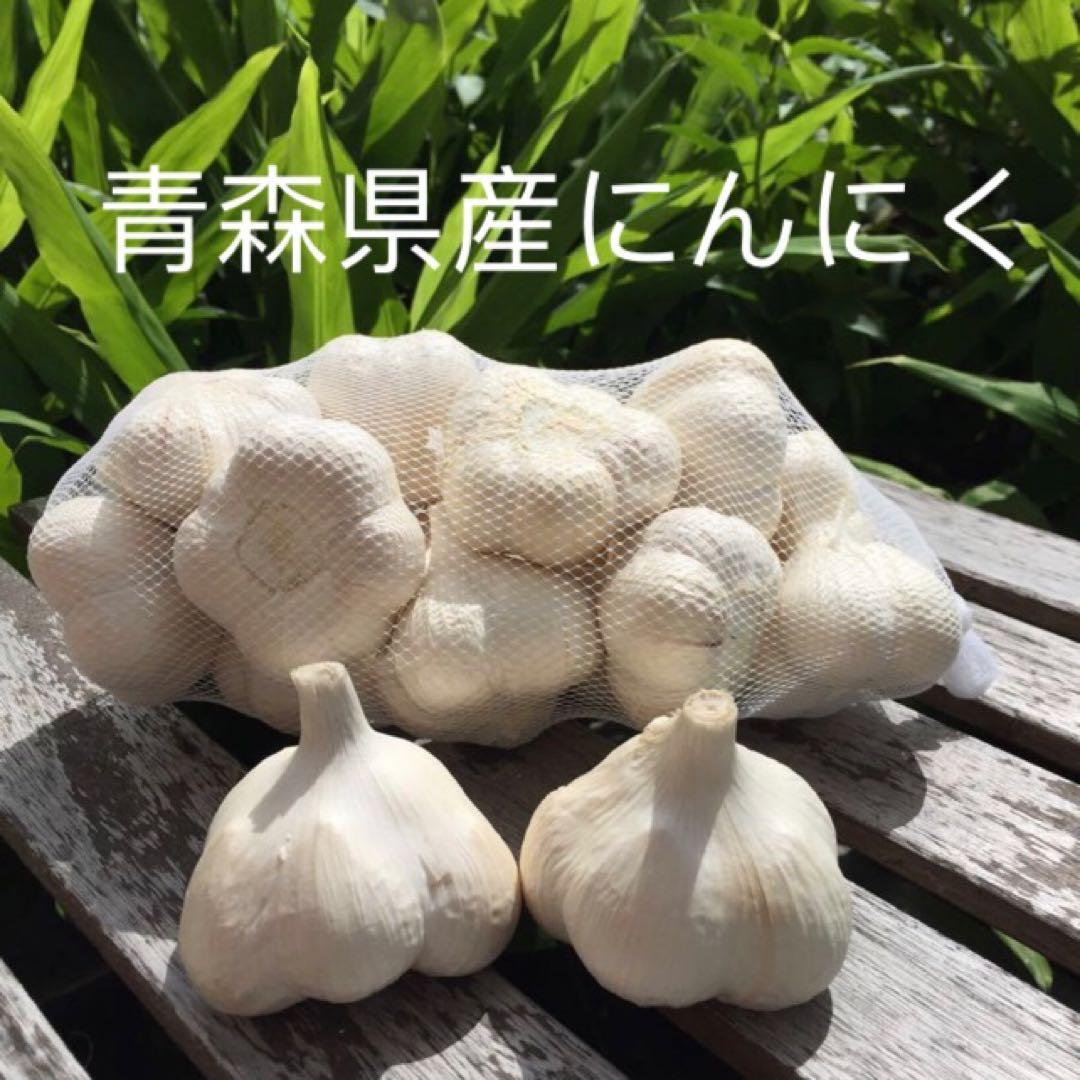 青森県産にんにくSサイズ5キロ