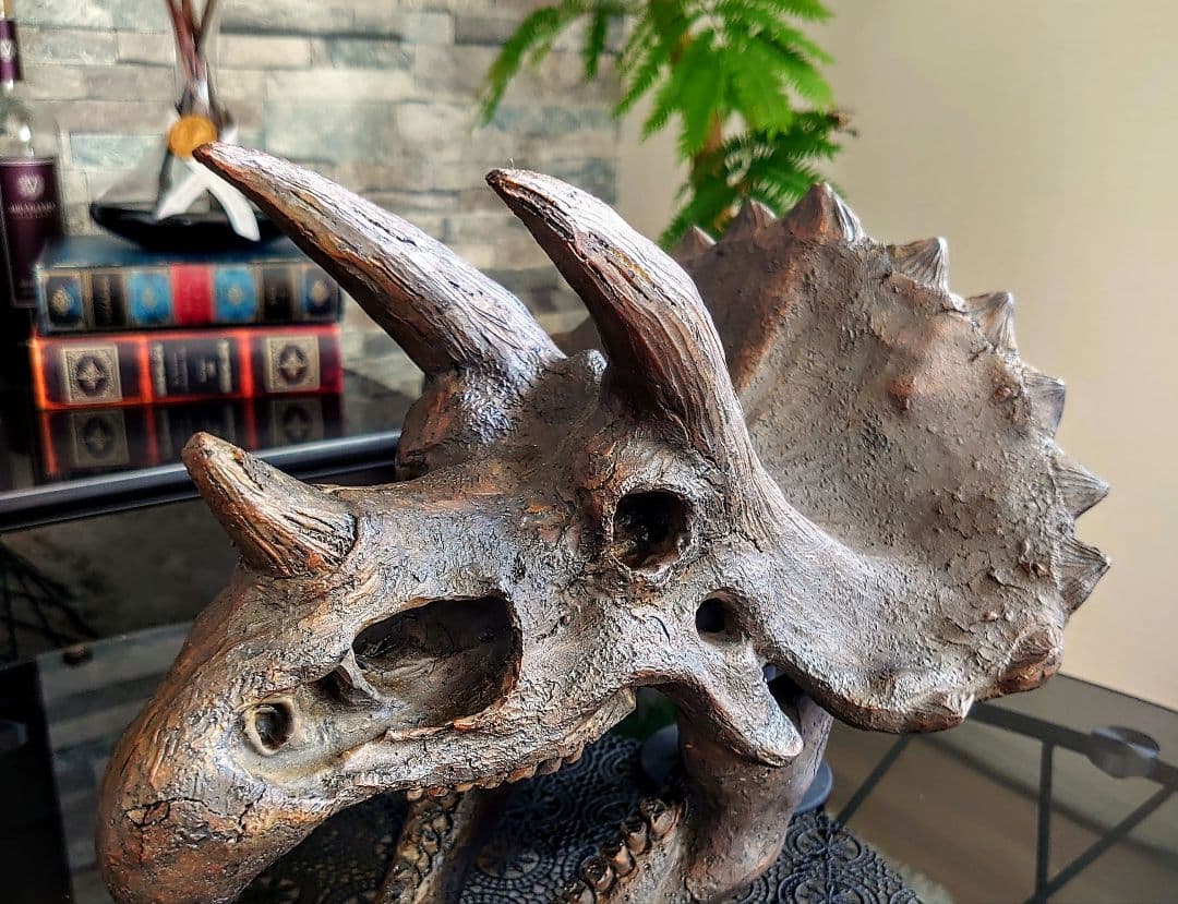 【DINOWORLD】トリケラトプス 頭骨レプリカ 化石 ジュラシックワールド