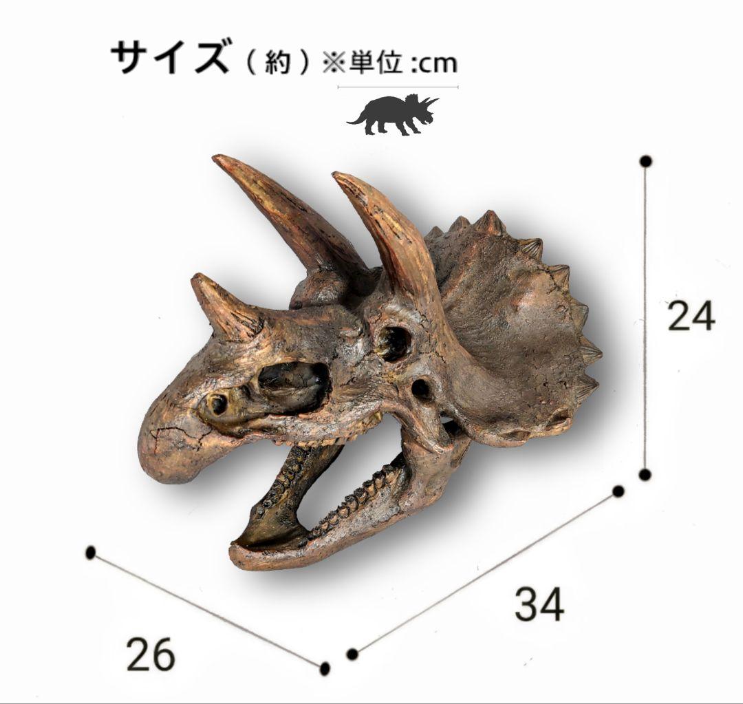 【DINOWORLD】トリケラトプス 頭骨レプリカ 化石 ジュラシックワールド