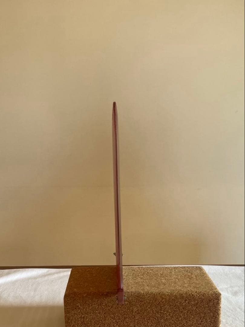 ガトヘロイ Dフィン 9’5 チェリー スクリュー付