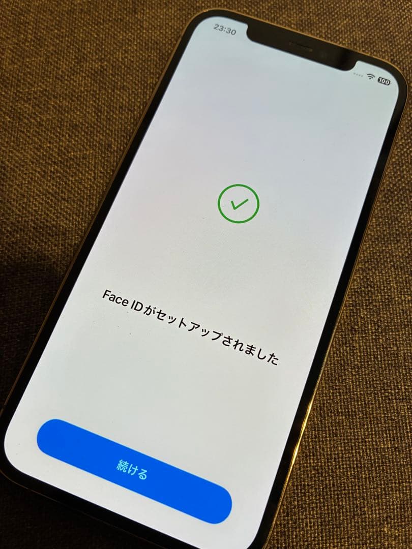 iPhone12 Pro 【背面ひび割れ】