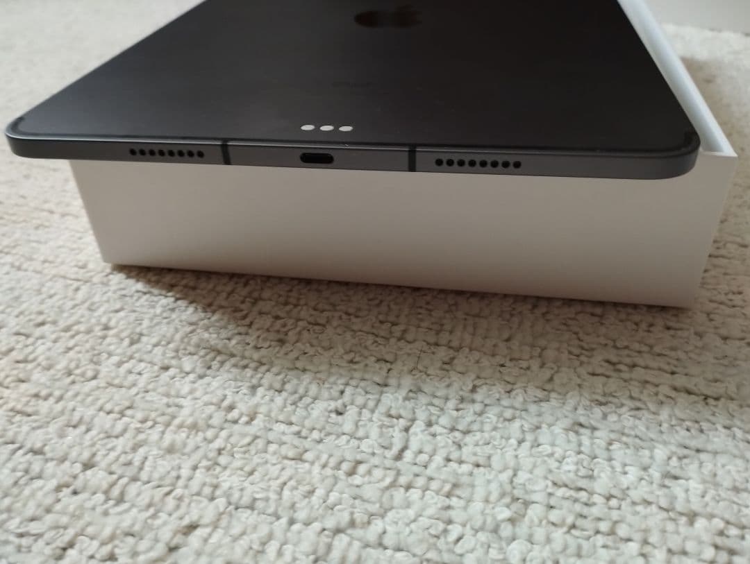 iPad Pro Wi-Fi + Cellular 第3世代