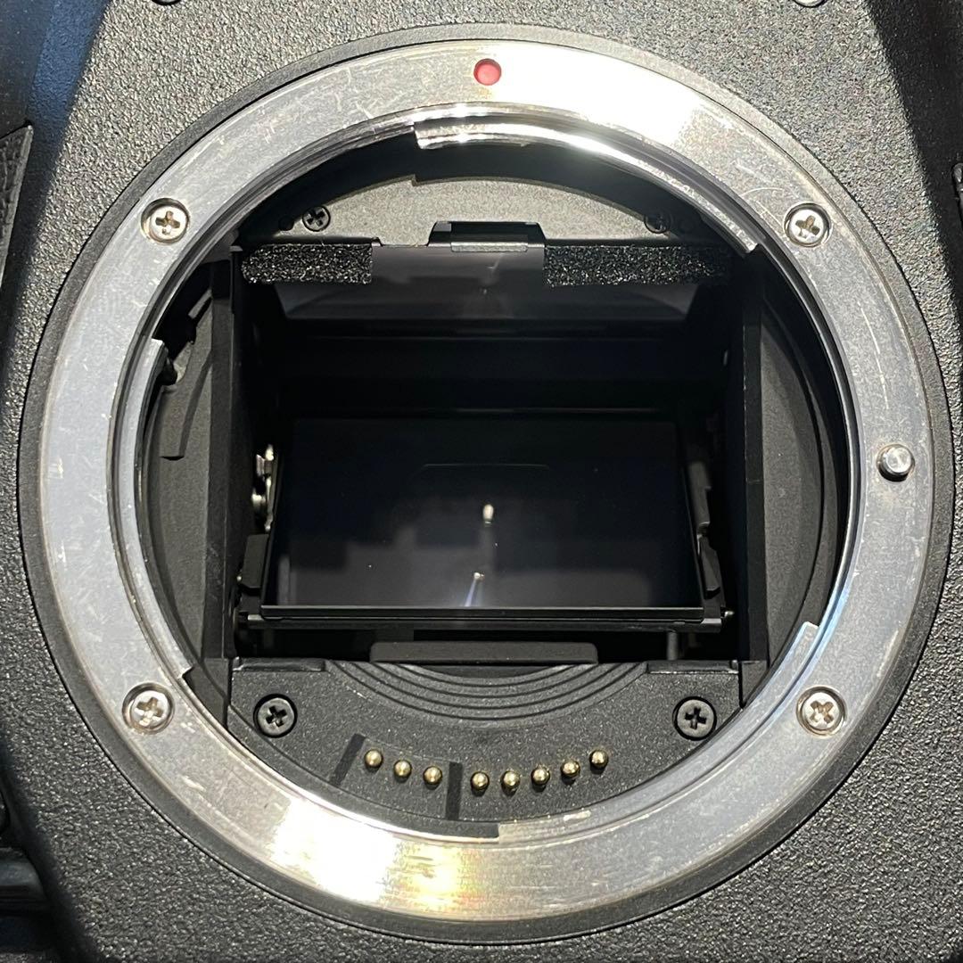 Canon EOS-1Ds Mark II ジャンク品