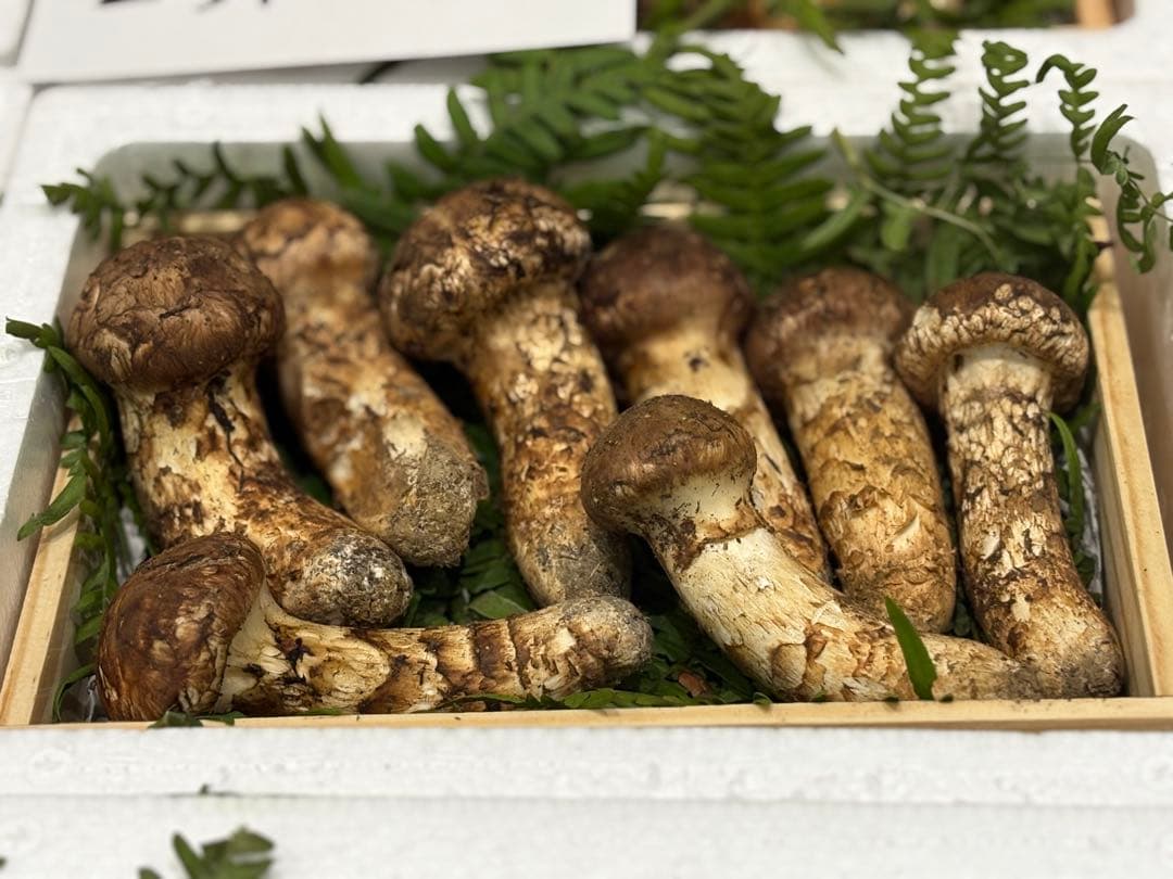 ま*ー様 【築地直送！】国産天然松茸約400g