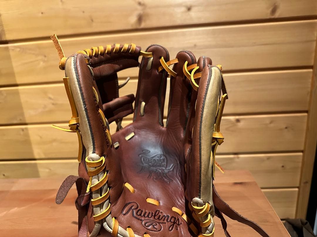 一日のみ専用中　Rawlings グローブ