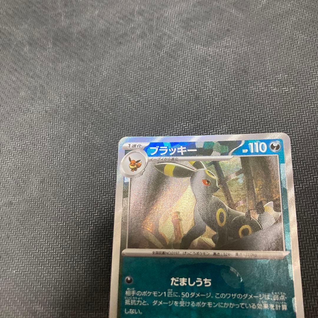 サコシン　ブラッキー　マスターボールミラー