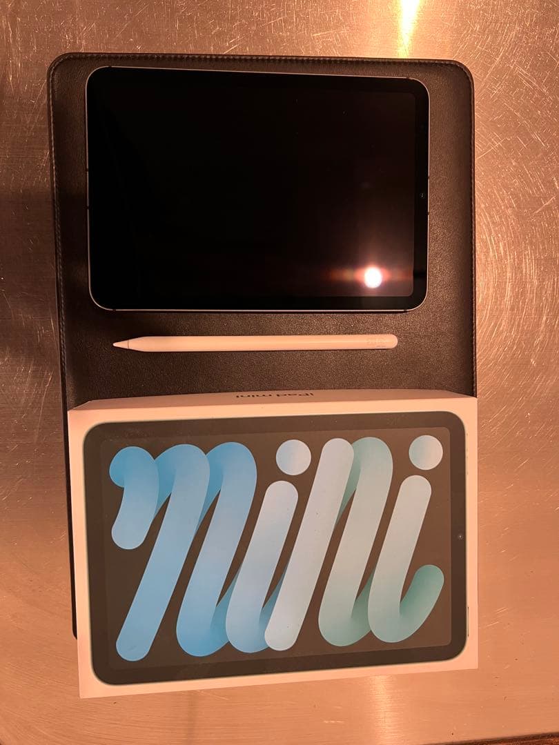 iPad mini スペースグレー 256GB+ Apple Pencil