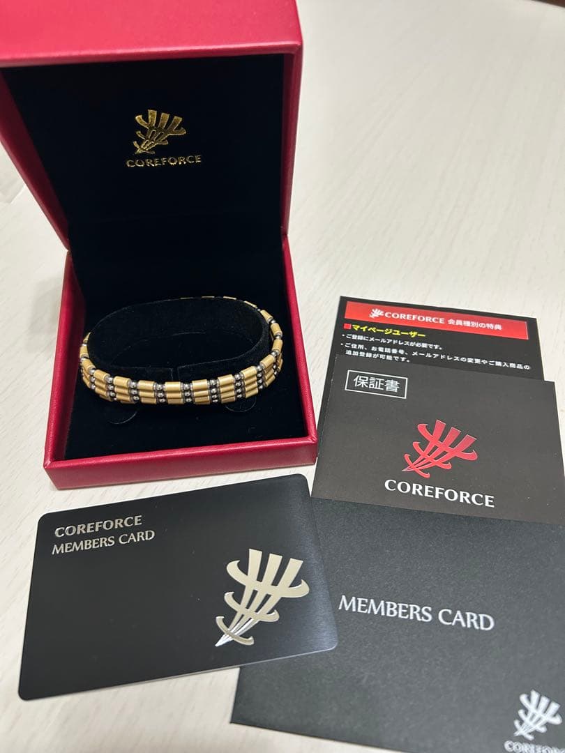 CORE FORCE 【シャンパンゴールド70センチ】