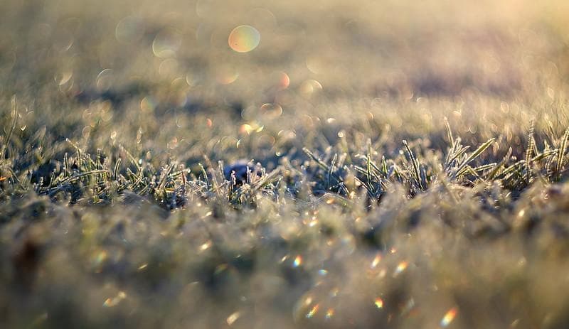 58　分解洗浄済 未使用　ぐるぐるボケレンズ　ヘリオス　44-2　M42