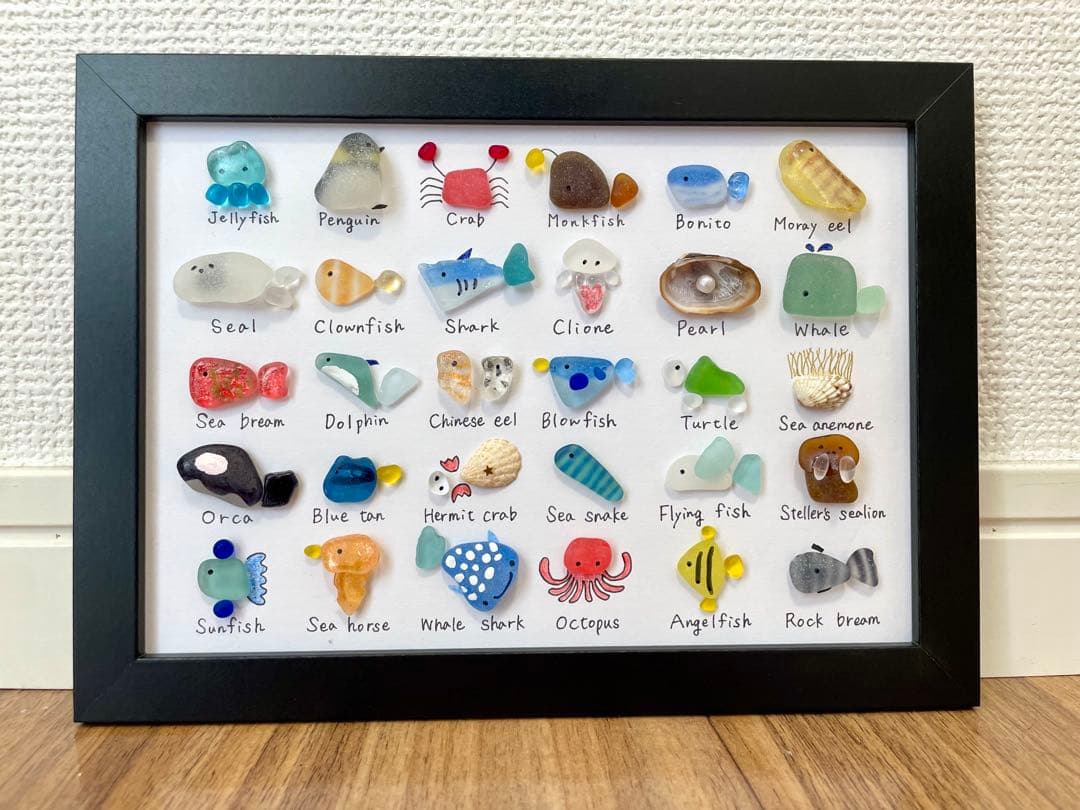 シーグラスアート☆No.370 図鑑　海の生き物　父の日　ギフト　プレゼント