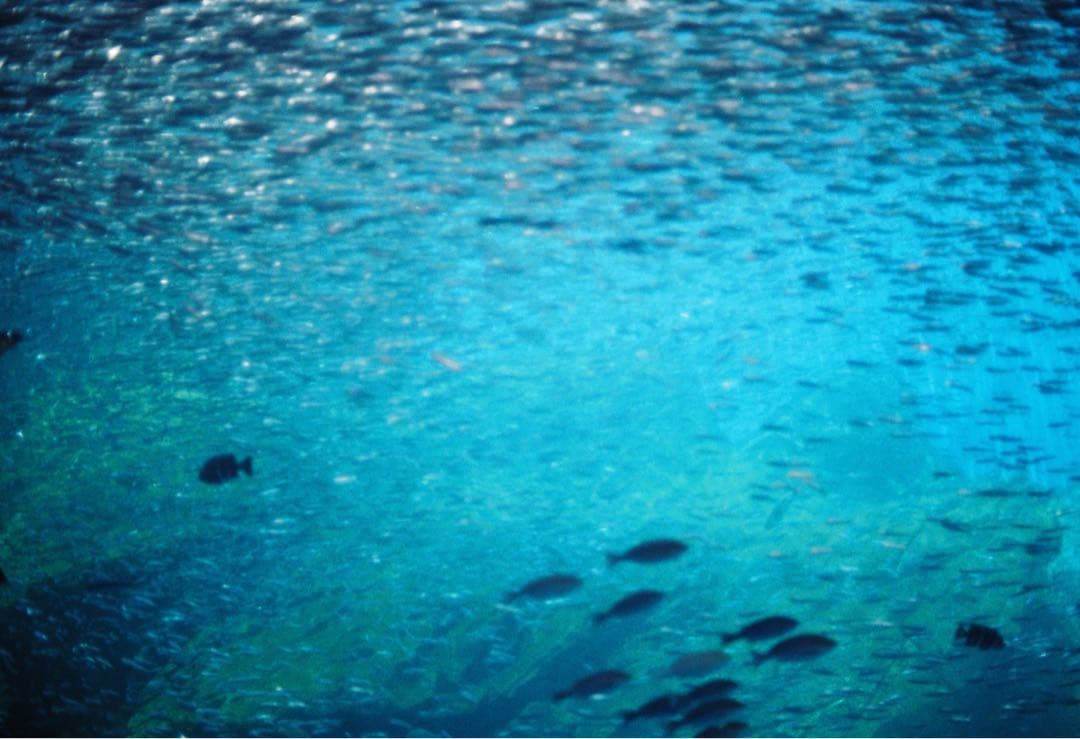 ■ 美品 ■ ニコン　Nikon F3 HP ボディ ≪198万番台≫