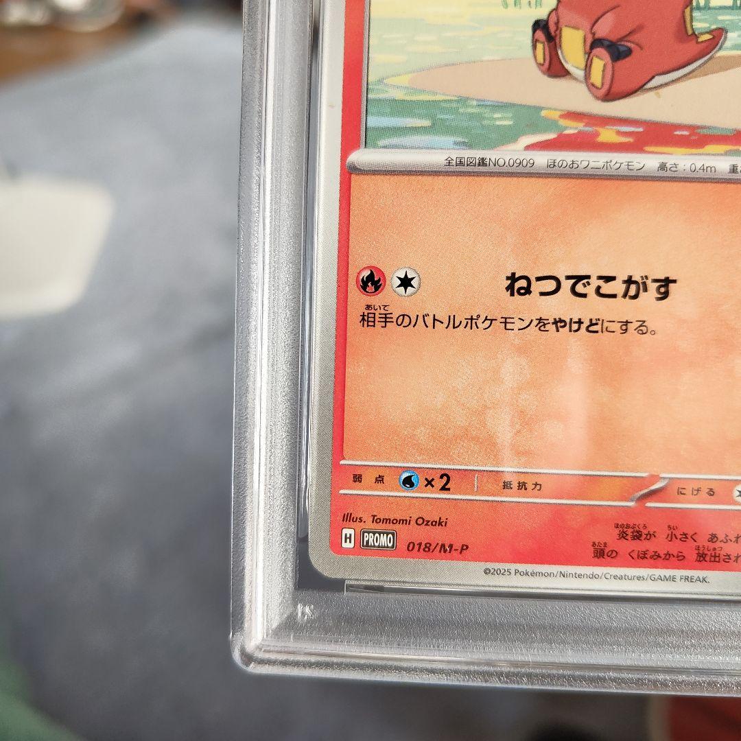 ポケモンカード マクドナルドのホゲータ クワッス プロモPSA10　2連番