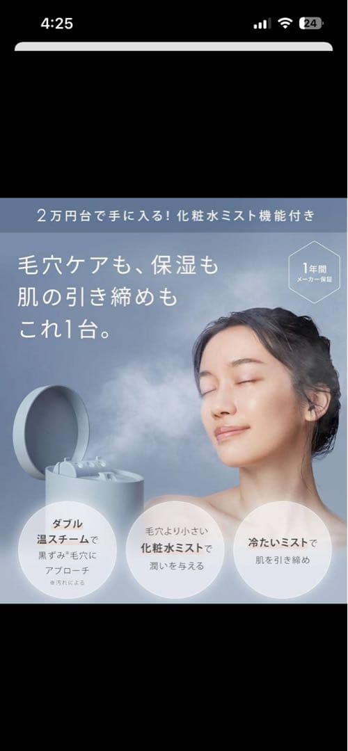 【新品】SALONIA フェイススチーマー グレー