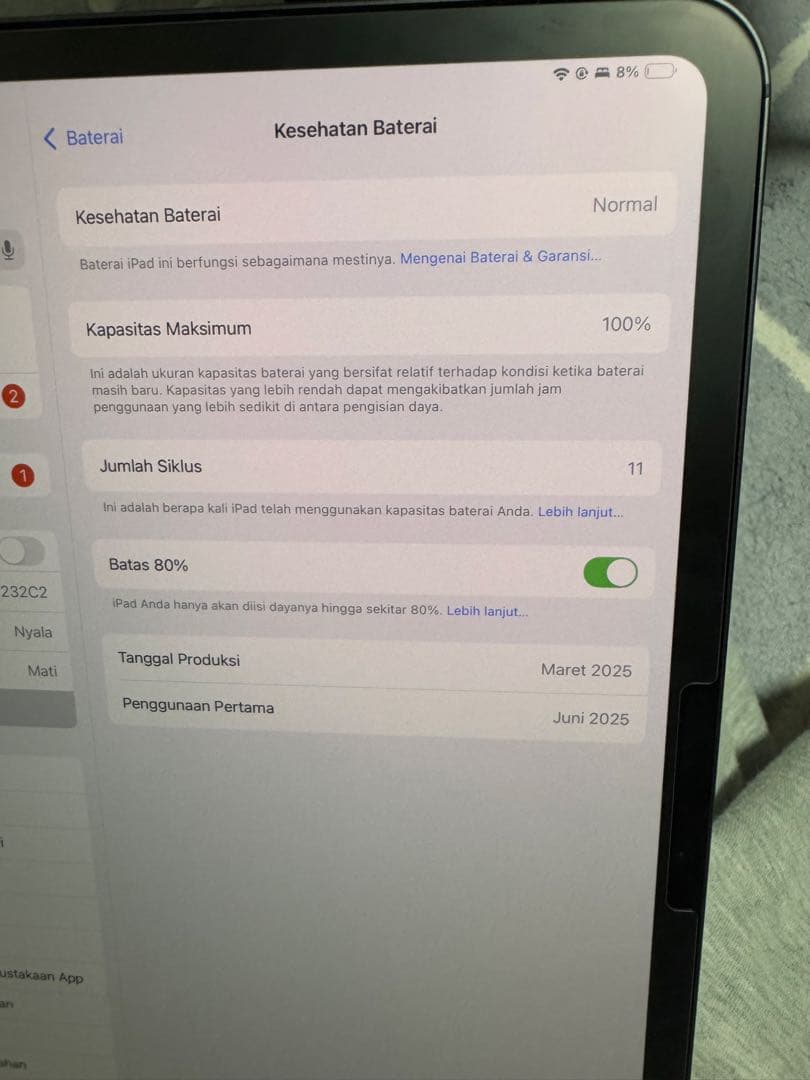 iPad Pro M4 11インチCellularモデル+ bonus
