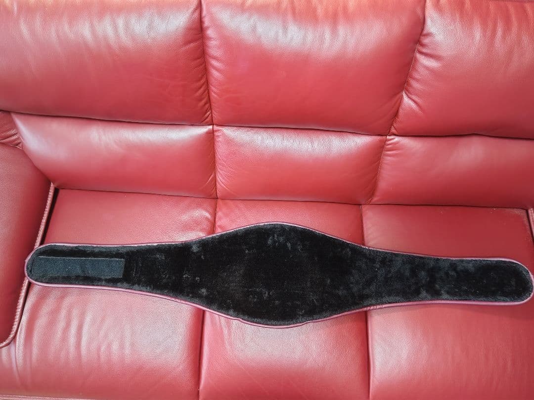 WBA ボクシングベルト ゴールド