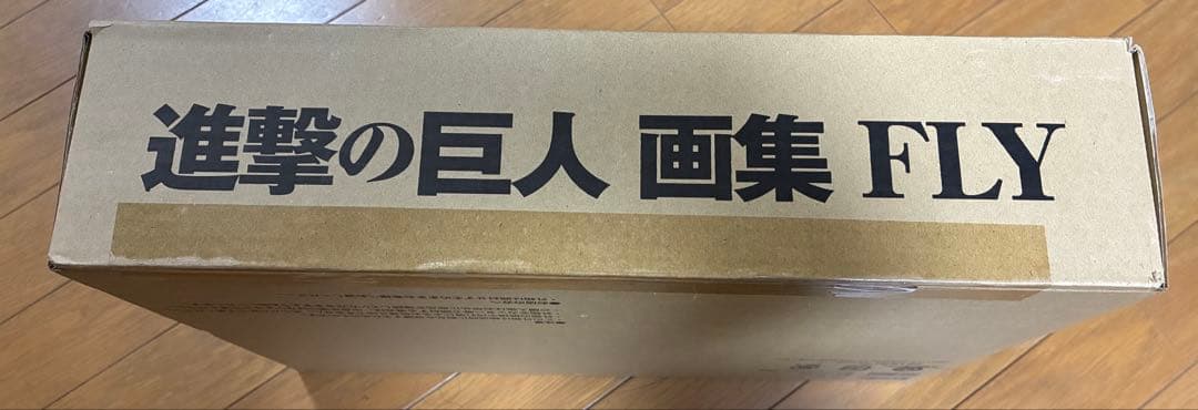 【新品未開封】進撃の巨人 画集 FLY