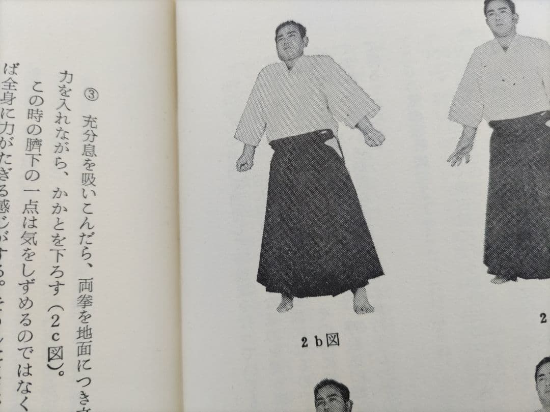 生活の中の気の原理 　藤平光一著