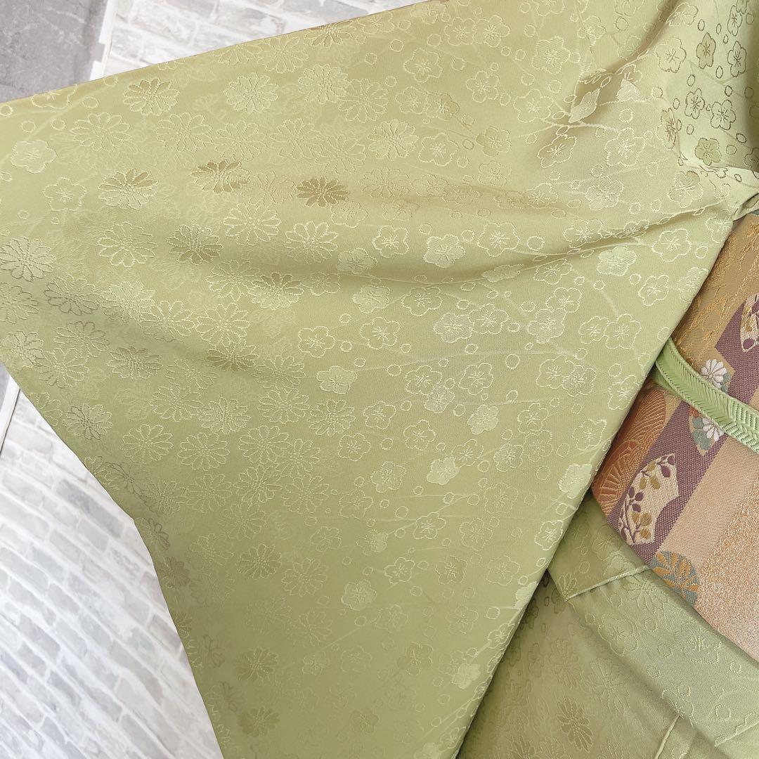 色無地　フルセット　菊　梅　地紋　難あり　練習用　シンプル　礼装　着物　I2