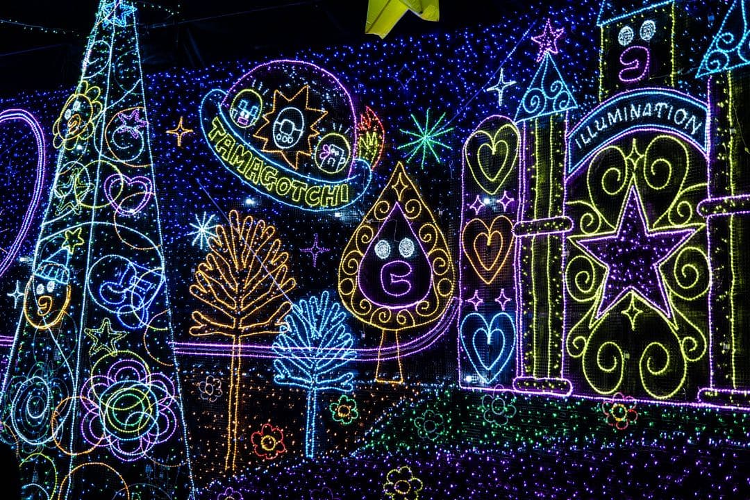 Panasonic LUMIX DC-S5 ＋ 24-105mm F4 おまけ付