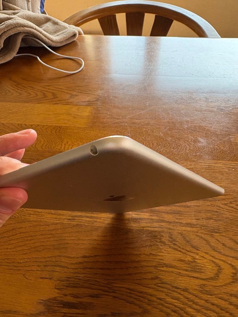 iPad本体 iPad mini4 WiFi 128GB