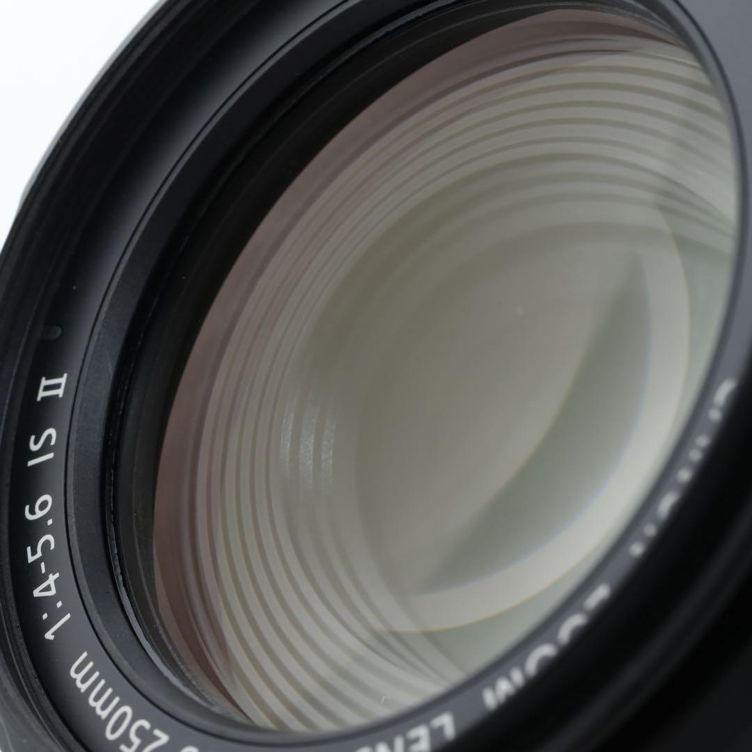 193★EF-S55-250IS Ⅱ★CANONキヤノン★望遠ズームレンズ