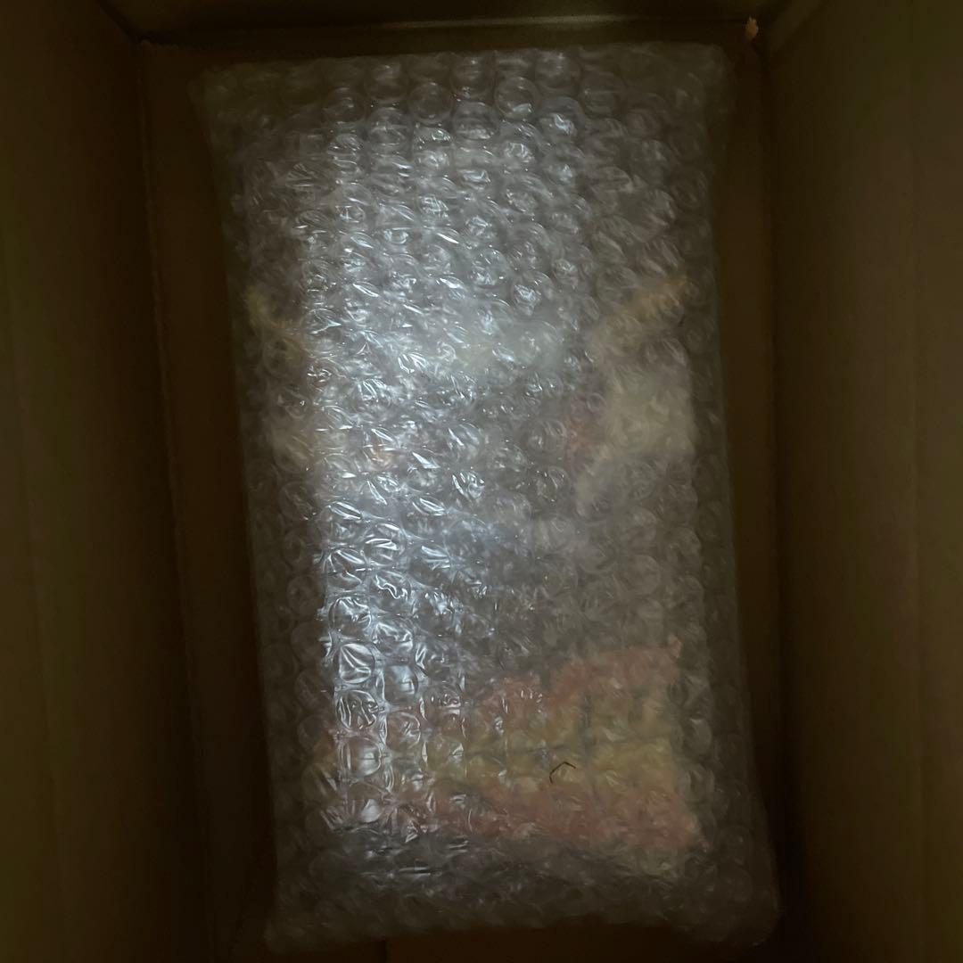 CASIO CA-500WEBF-1AJR バックトゥザフューチャー