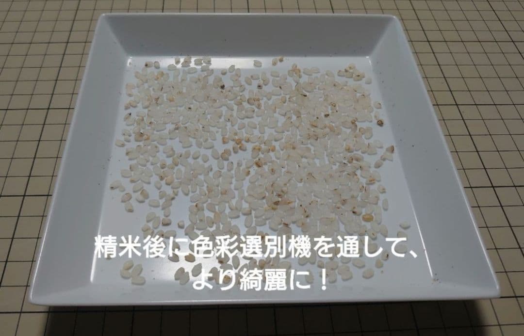 令和7年度 埼玉県産⭐にこまる⭐白米29キロ 送料無料