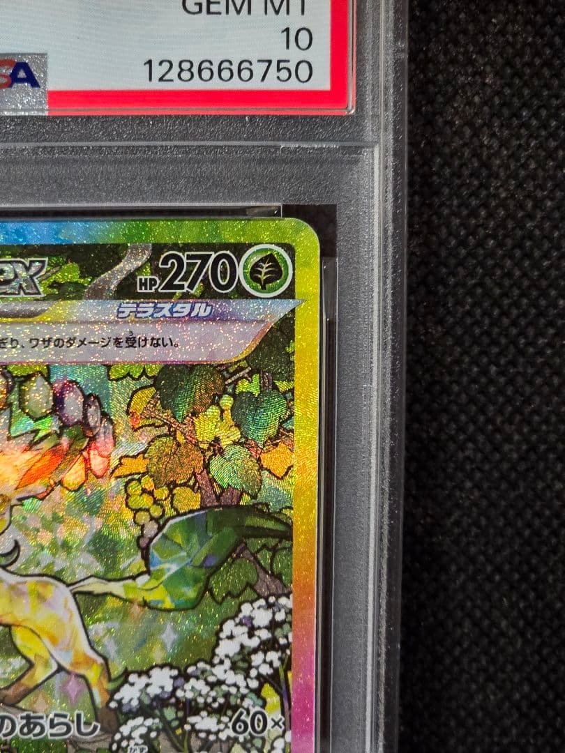 PSA10 リーフィアex【SAR】テラスタルフェスex