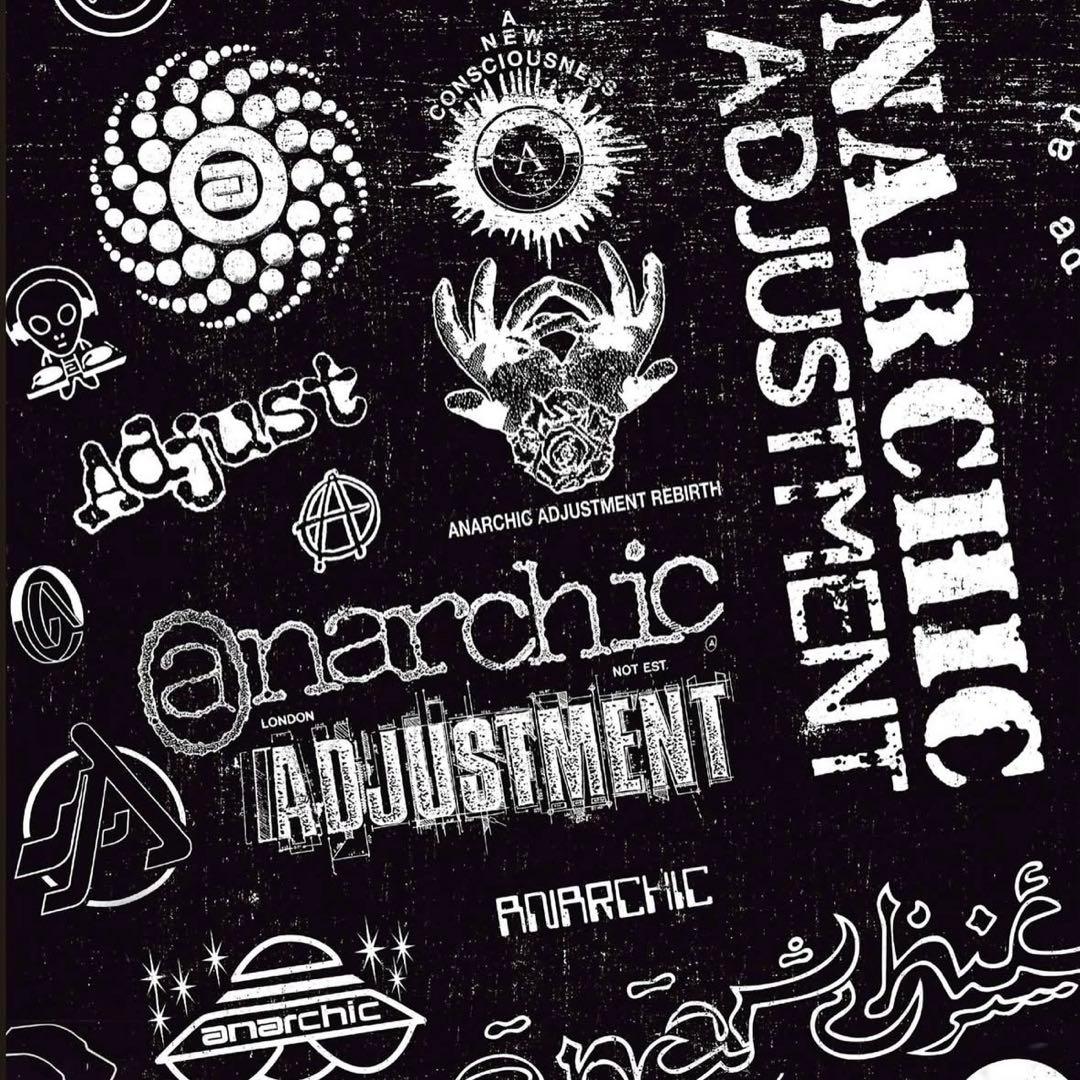 insane × ANARCHIC ADJUSTMENT アートブック新品