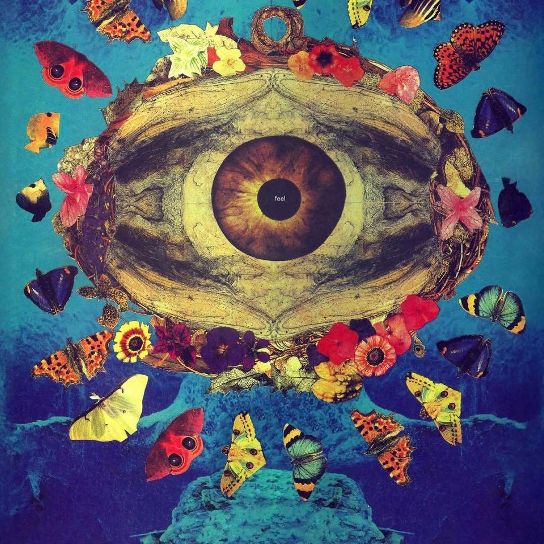 insane × ANARCHIC ADJUSTMENT アートブック新品