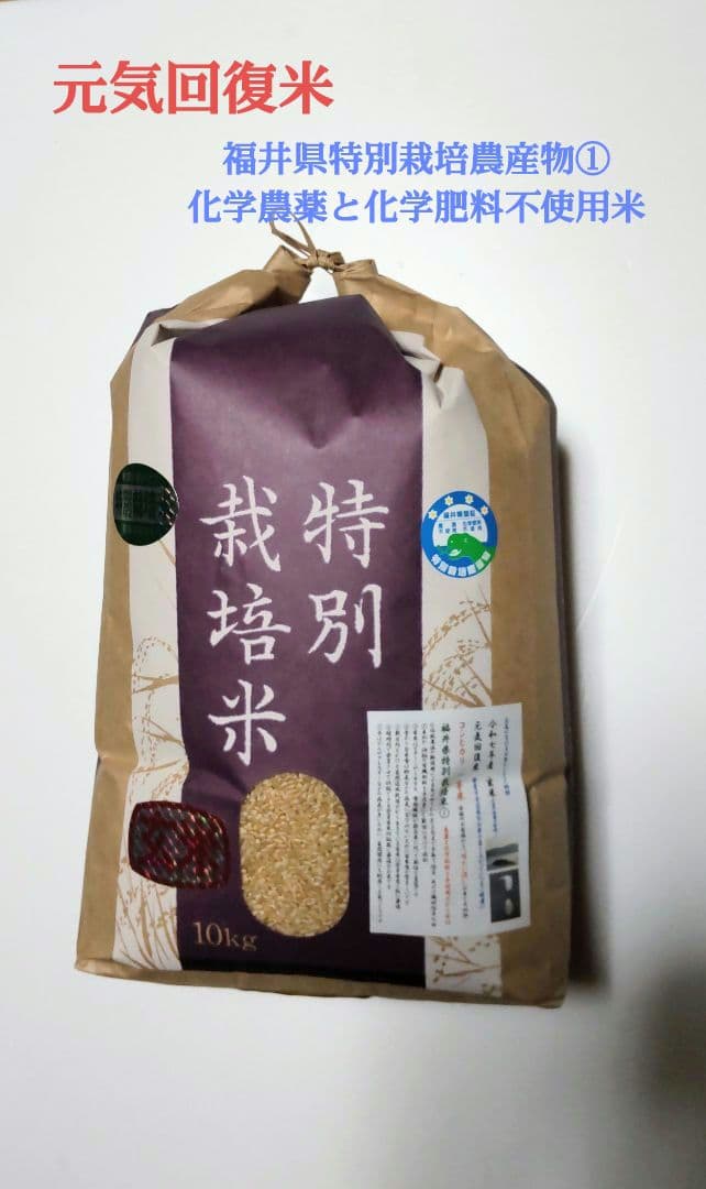 炎天下の手取り除草 発芽用玄米10kg ７年産コシヒカリ 特栽① 農薬等不使用