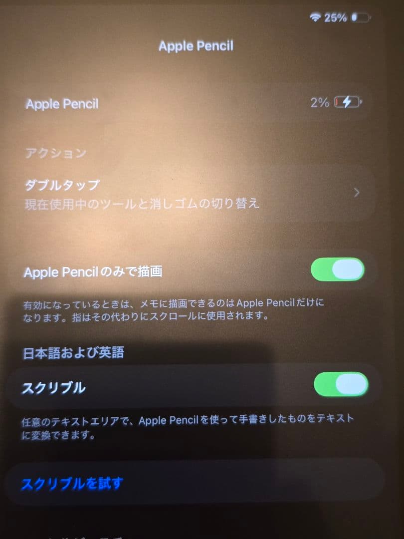 iPad本体 iPad Pro 11 M1 256GB ApplePencil2