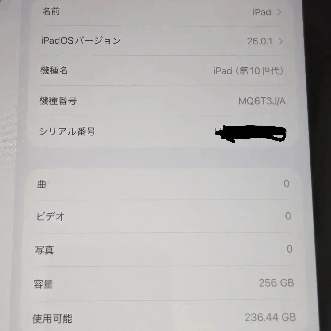 【部品高騰】iPad iOS26 256GB Wi‑Fi+Cellular対応