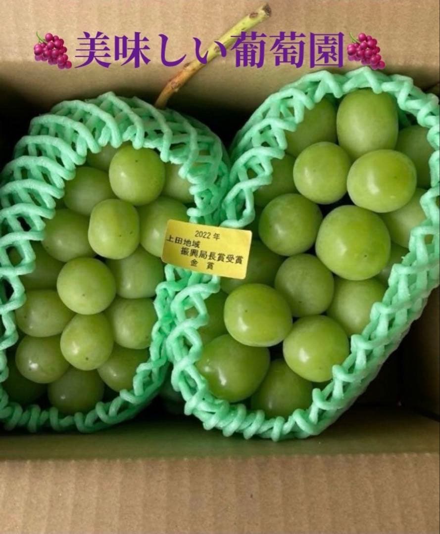 カールシャインマスカット8房