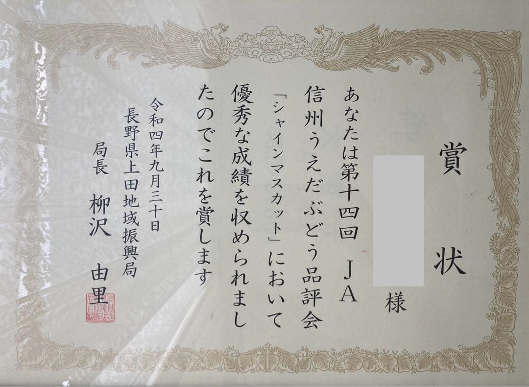 カールシャインマスカット8房